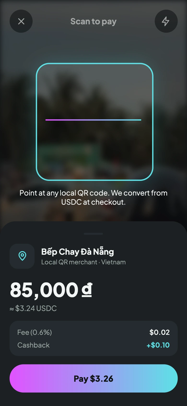 Scan and pay screen